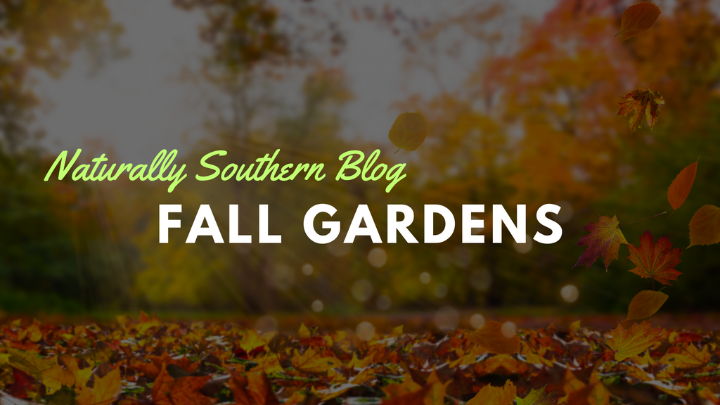 Planting Hope: The Benefits and Joys of a Fall Garden