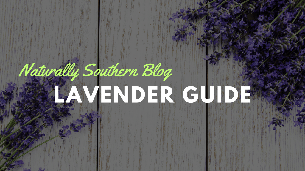 Cultivate Calm: Your Essential Guide to Lavender