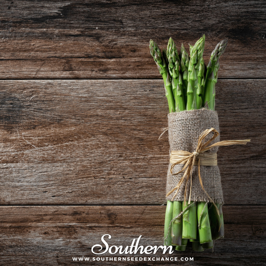 Southern Seed Exchange Asparagus, UC72 (Asparagus officinalis) - 50 Seeds