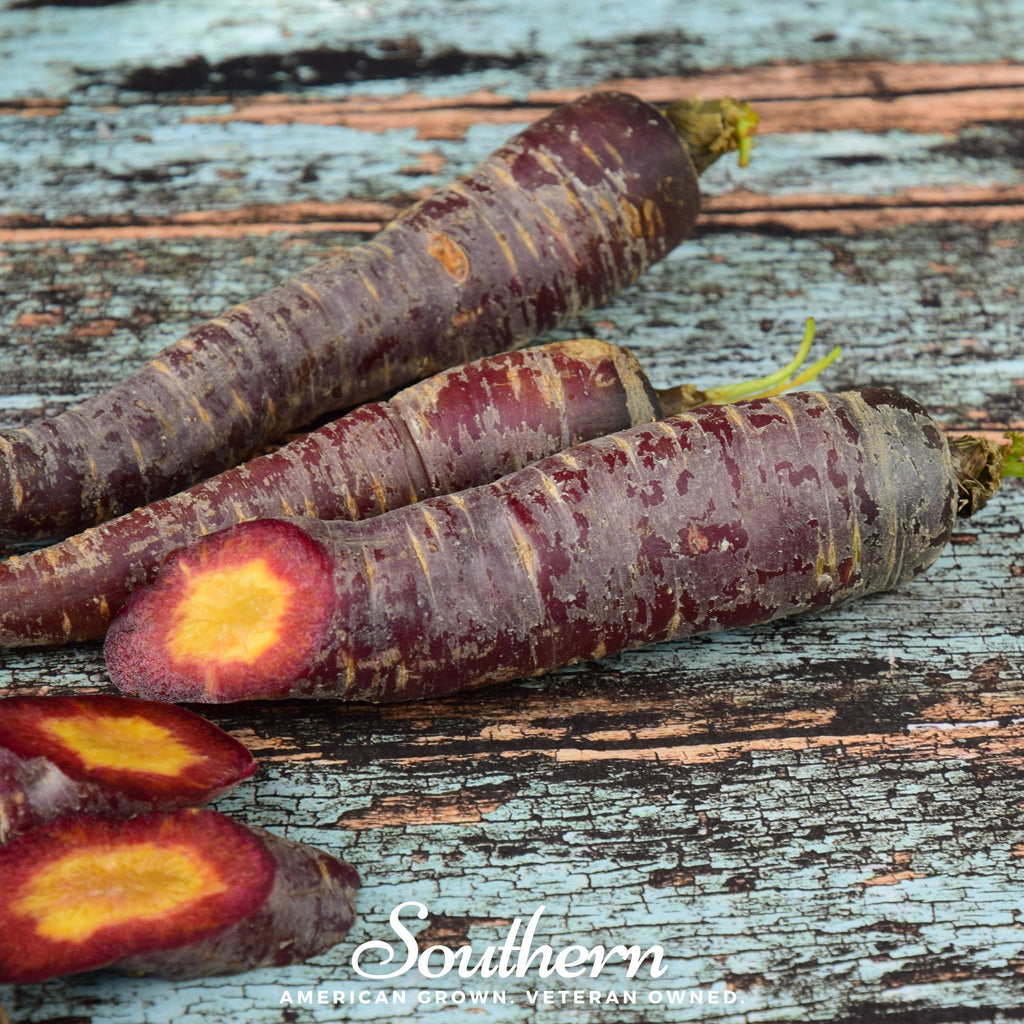 Carrot, Cosmic Purple (Daucus carota) - 500 Seeds - Southern Seed Exchange