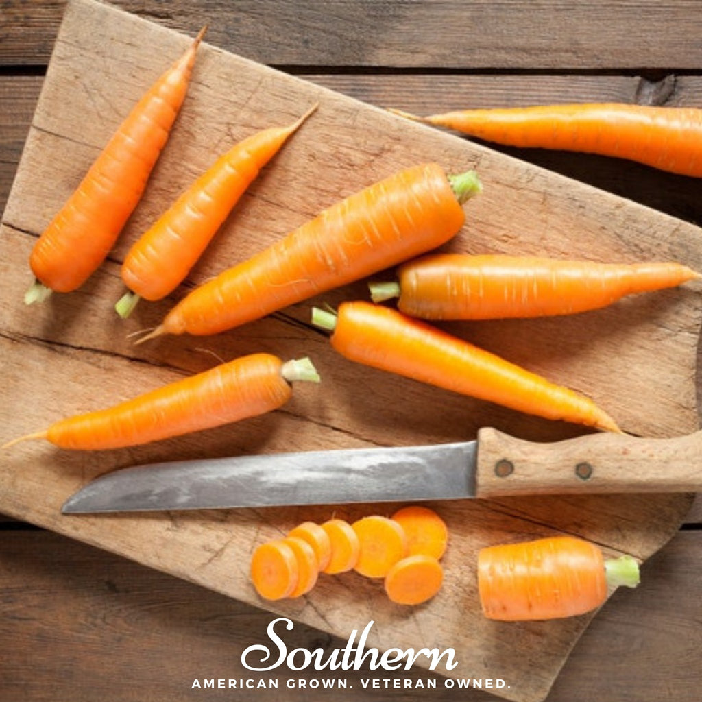 Carrot, Scarlet Nantes (Daucus carota) - 200 Seeds - Southern Seed Exchange