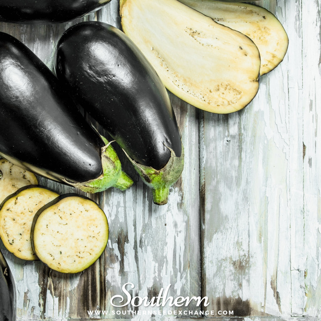 Southern Seed Exchange Eggplant, Black Beauty (Solanum melongena) - 200 Seeds