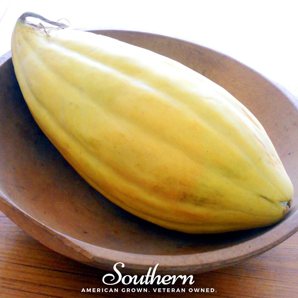 Melon, Banana (Cucumis melo) - 20 Seeds - Southern Seed Exchange