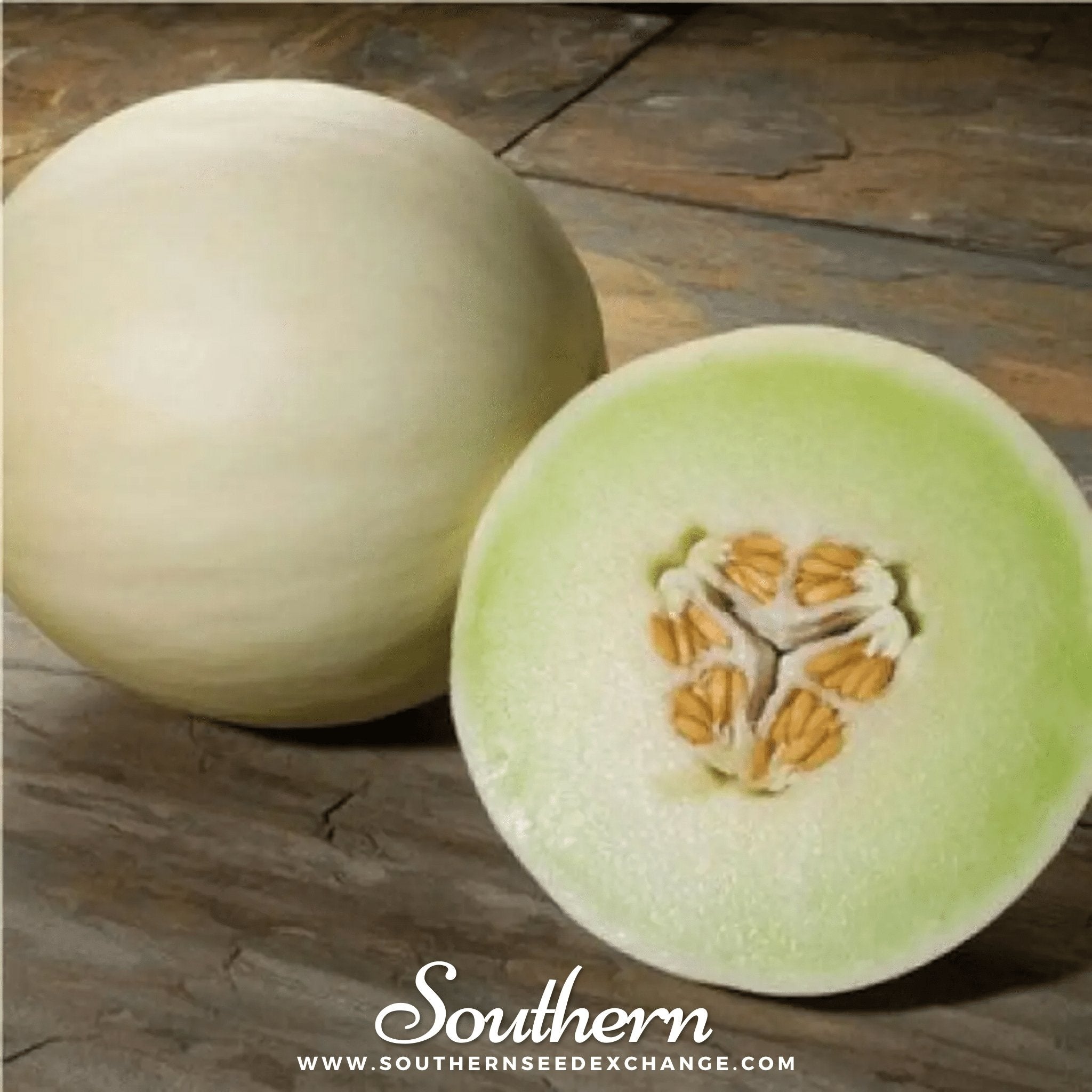 Green Honeydew Melon Seeds For Planting (Cucumis melo) – Seed Needs LLC