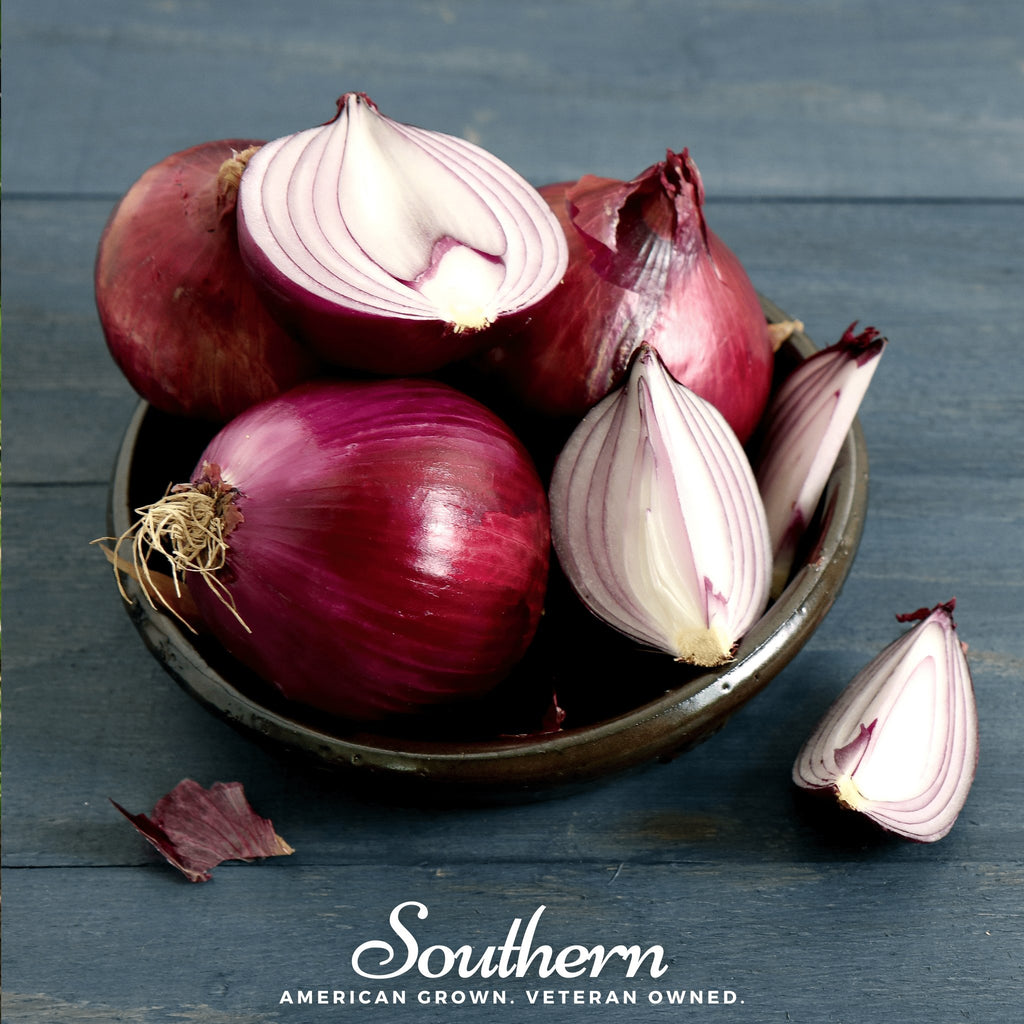 Onion, Red Burgundy (Allium cepa) - 100 Seeds - Southern Seed Exchange