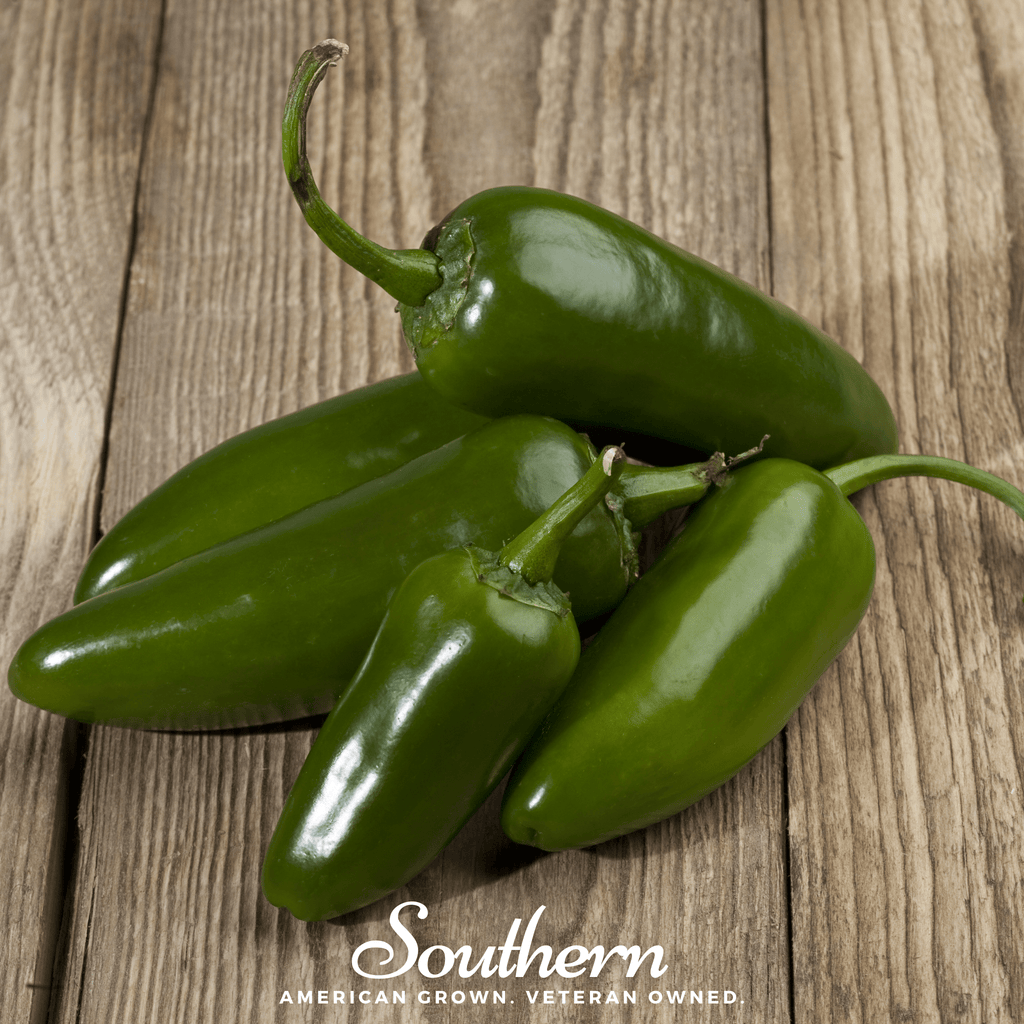 Southern Seed Exchange Pepper, Jalapeño Early (Capsicum annuum) - 25 Seeds
