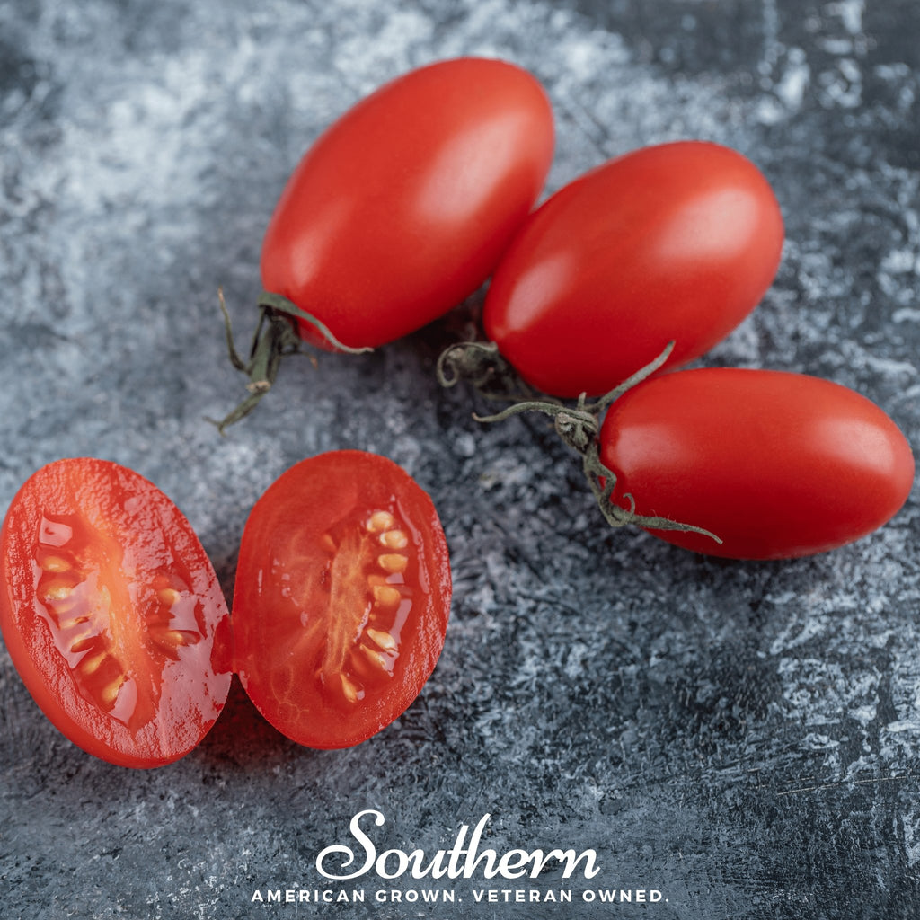 Tomato, Amish Paste (Solanum lycopersicum) - 50 Seeds - Southern Seed Exchange