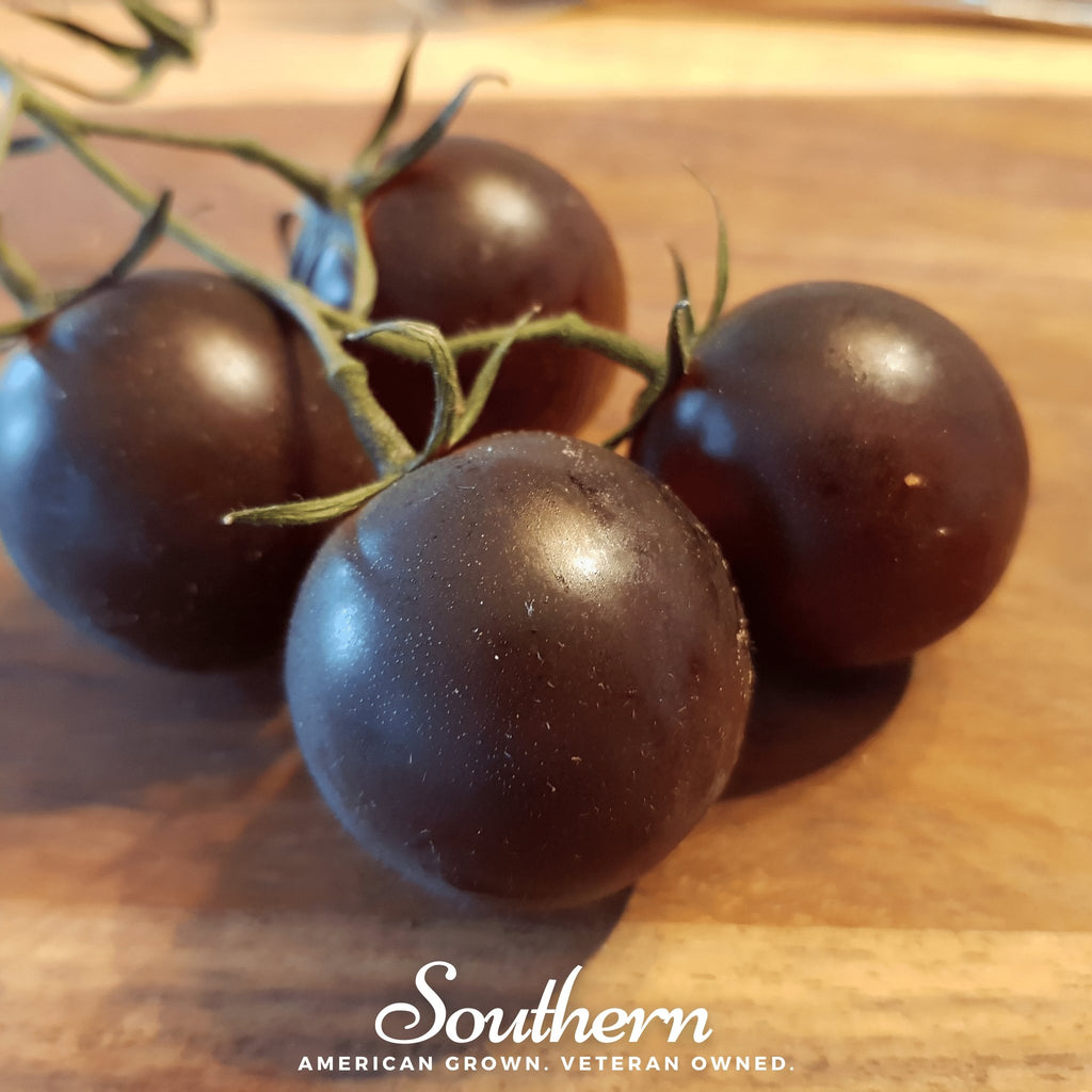 Tomato, Black Prince (Lycopersicon esculentum) - 50 Seeds - Southern Seed Exchange