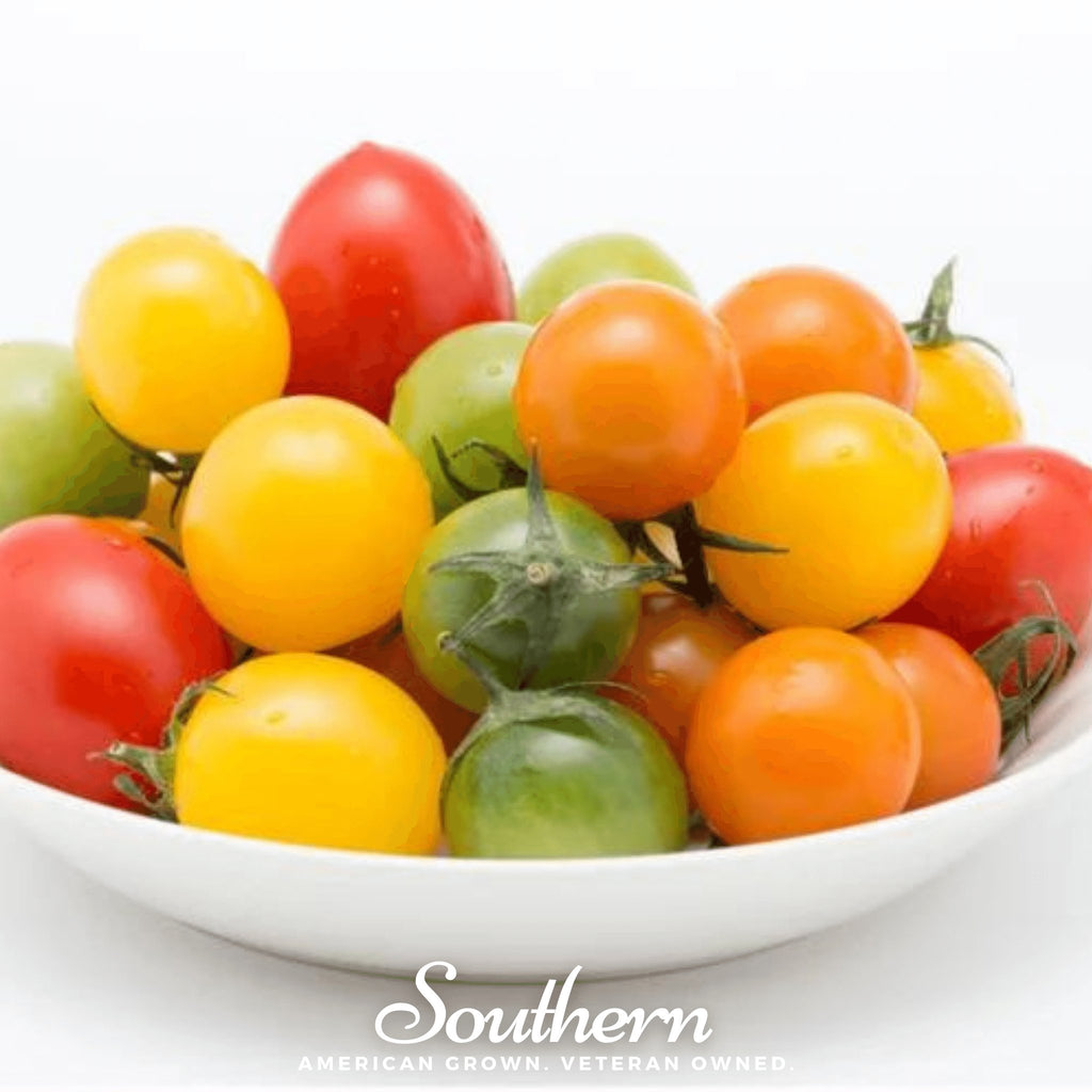 Tomato, Rainbow Cherry (Lycopersicon esculemtum) - 50 Seeds - Southern Seed Exchange