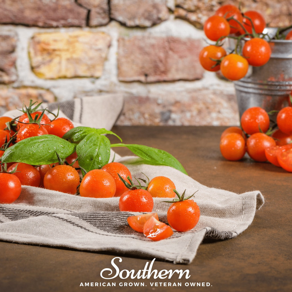 Tomato, Small Red Cherry (Lycopersicon esculemtum) - 100 Seeds - Southern Seed Exchange