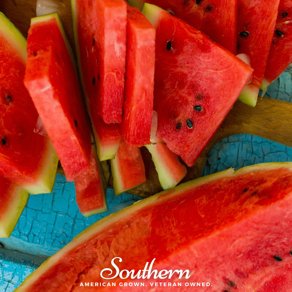 Watermelon, All Sweet (Citrullus lanatus) - 25 Seeds - Southern Seed Exchange